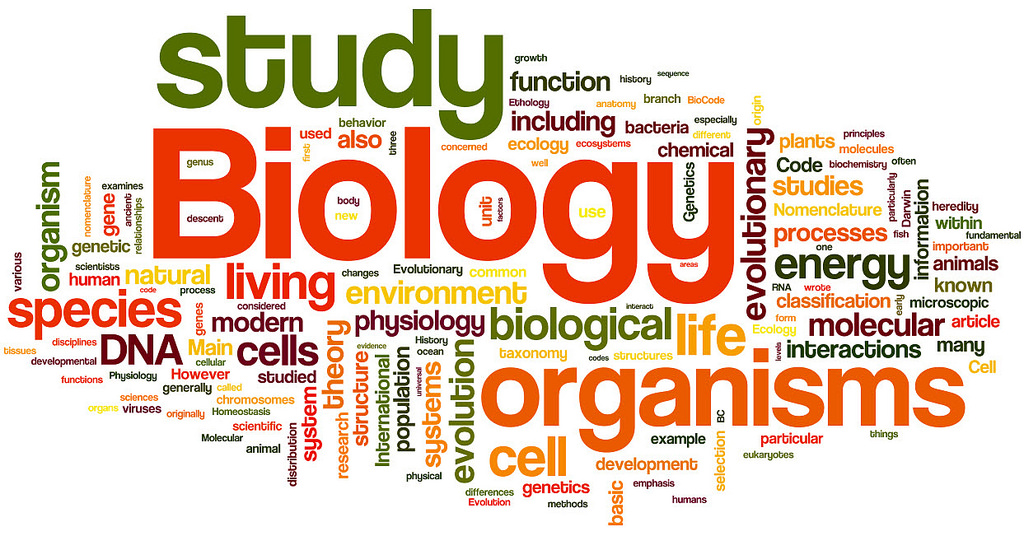 Biology Questions For JAMB Online CBT 2017  [First]